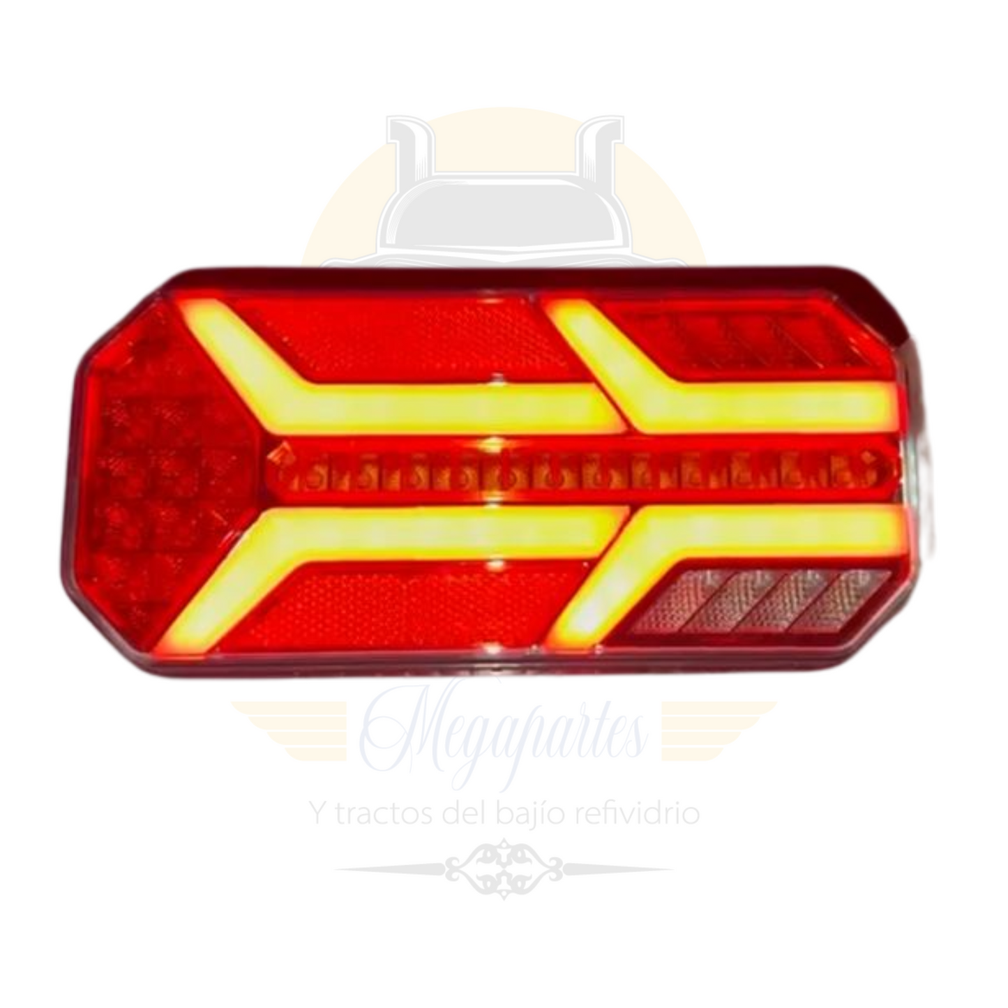 PLAFON RECTANGULAR CON DIRECCIONAL Y REVERSERO